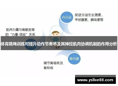 体育跳绳训练对提升动作节奏感及其神经肌肉协调机制的作用分析